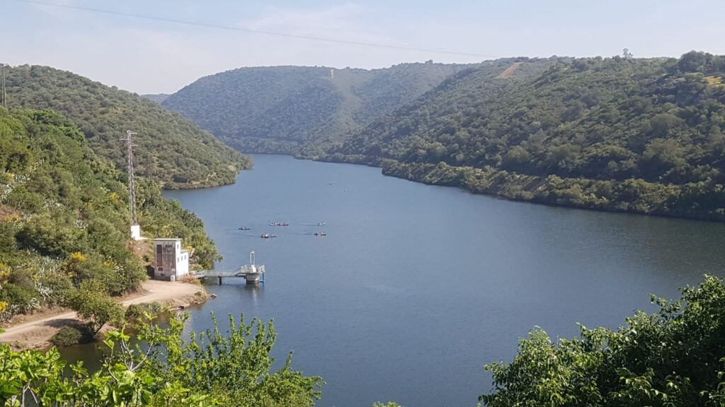 WhatsApp Image 2019-05-09 at 12.13.54